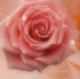 ������֮������ppt�μ���Ѱ�