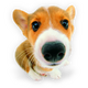 �к�ŵ�²��񱨱���������1.34 ���°�
