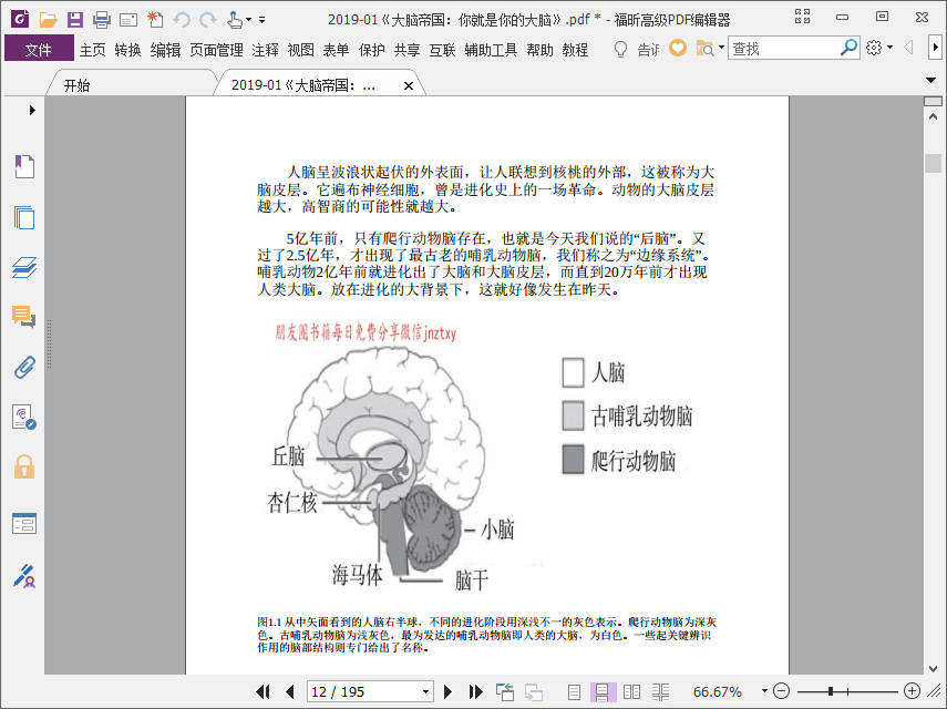 大脑帝国电子书下载pdf插图(3)
