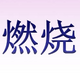 ȼ�յ�����ppt���̰�