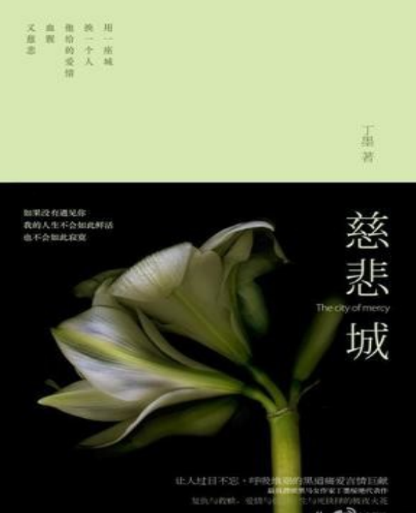 慈悲城pdf电子版插图(1)