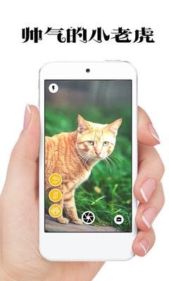 ����è���������app��ͼ1