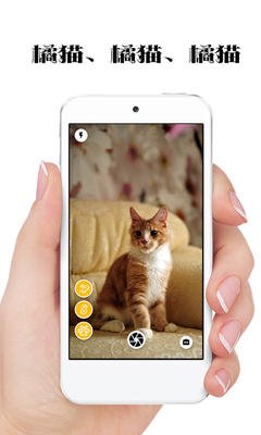 ����è���������app��ͼ2