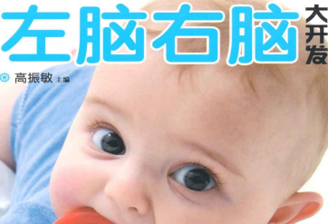 0到1岁聪明宝宝左脑右脑大开发pdf