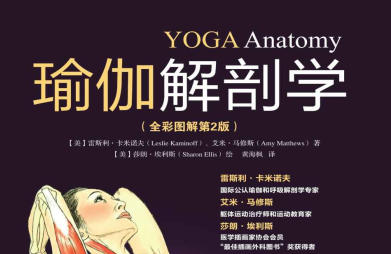 瑜伽解剖学pdf下载