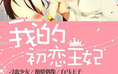 我的初恋王妃pdf
