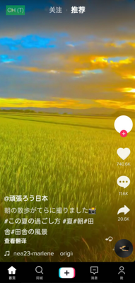���������TikTok��ˮӡ���ͼ1
