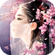 �������ΰ�׿��v1.0 ���°�