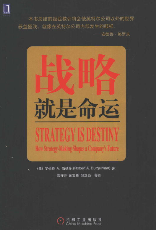 战略就是命运pdf免费下载-战略就是命运电子版免费版