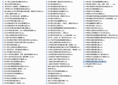 2021中考语文重点知识归纳总结复习资料免费版截图0
