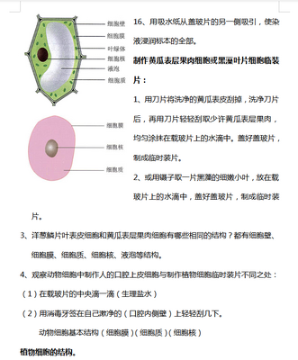 中考生物知识点归纳总结2021完整免费版截图2