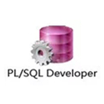 PLSQL Developer最新版