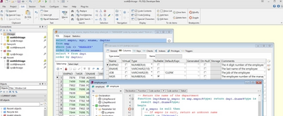 plsql developer14���������ƽ���ͼ0