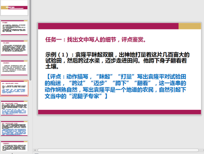 喜看稻菽千重浪ppt教案免费版截图0
