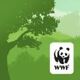 WWFɭ��APP1.0�ٷ���ʽ��