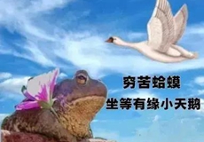 С���������ᶯ̬�������ͼ0