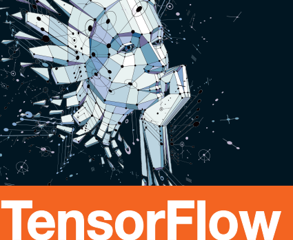 TensorFlow技术解析与实战基础篇笔记-TensorFlow技术解析与实战豆瓣资源PDF电子书下载完整高清版