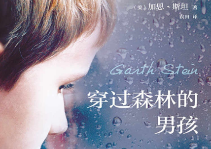 穿过森林的男孩小说在线免费阅读-穿过森林的男孩小说PDF电子版经典语录名句完整高清版