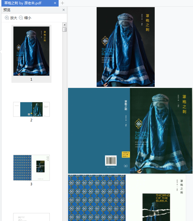 罩袍之刺原老未下载-罩袍之刺女性视角下的阿富汗PDF高清免费版插图(1)