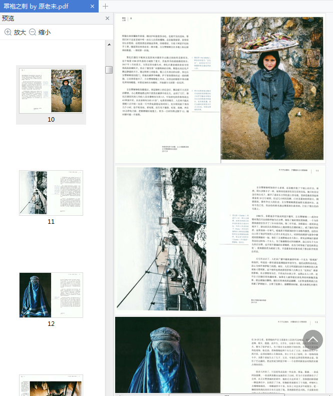 罩袍之刺原老未下载-罩袍之刺女性视角下的阿富汗PDF高清免费版插图(2)