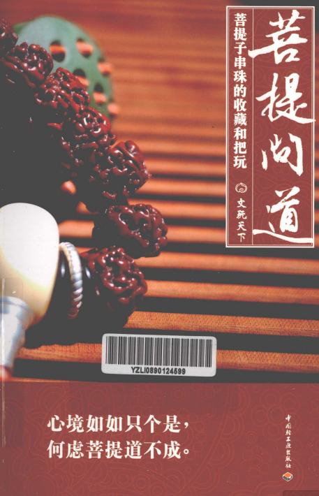 菩提问道电子书在线预览下载-菩提问道PDF免费插图版