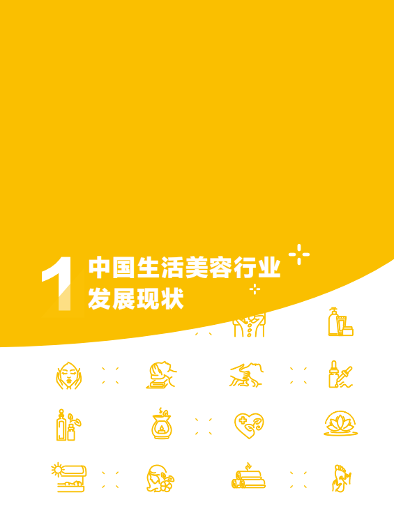 2020中国生活美容行业发展下载-中国生活美容行业发展报告2020pdf免费版插图(4)