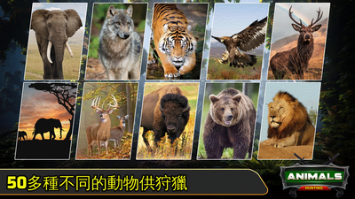 ������Ϸ(Wild Deer Hunting)��ͼ0