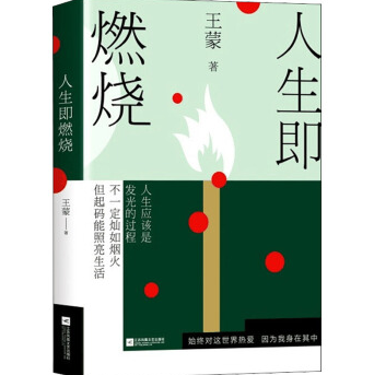 人生即燃烧王蒙小说PDF电子书下载完整高清版