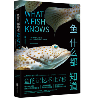 鱼什么都知道PDF+txt电子书下载完整高清版