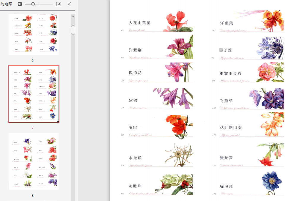 花之绘38种花的色铅笔图绘PDF免费下载-花之绘38种花的色铅笔图绘PDF 