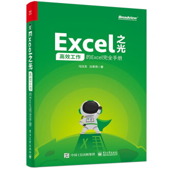Excel之光:高效工作的Excel完全手册PDF电子版书籍下载