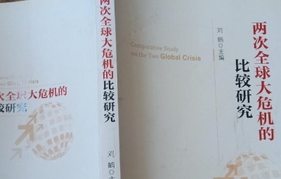 两次全球大危机的比较研究pdf免费下载