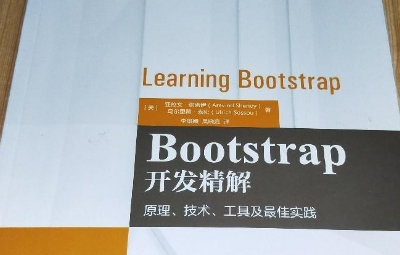 Bootstrap开发精解pdf免费下载