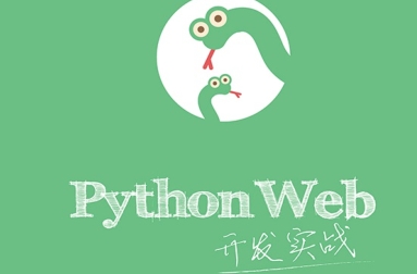 Python Web开发实战PDF电子书
