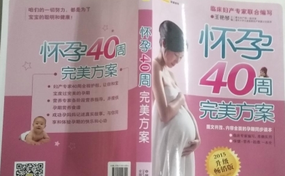 怀孕40周完美方案pdf升级畅销版
