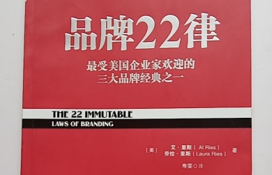 品牌22律pdf电子书下载