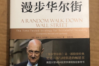 漫步华尔街电子版下载-漫步华尔街pdf原书第11版
