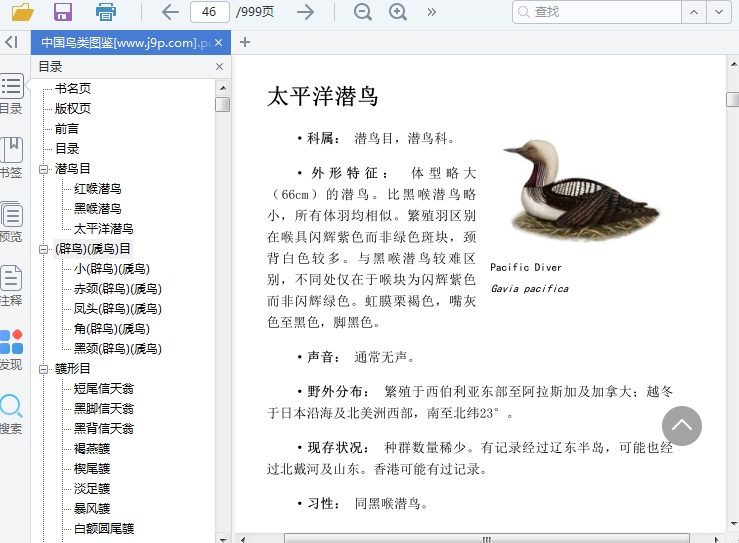中国鸟类图鉴pdf电子版插图(1)