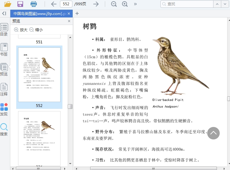 中国鸟类图鉴pdf电子版插图(2)