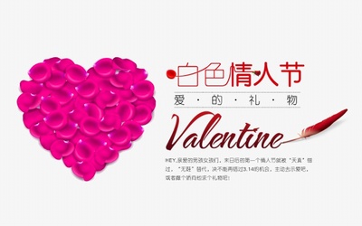 ��ɫ���˽ڹ��ں���ͼ�زĽ�ͼ0