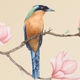 ˮ�ʻ��񸴹������й���PPTģ��