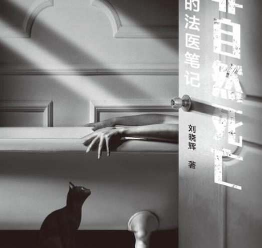 非自然死亡刘晓辉全文在线阅读-非自然死亡:我的法医笔记小说PDF电子书免费版-精品