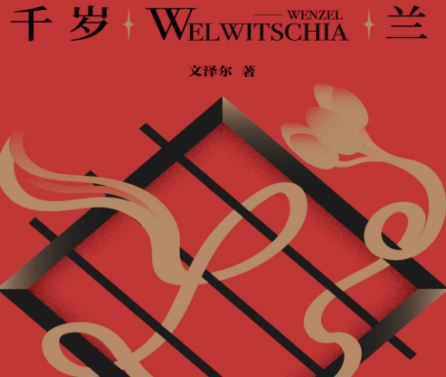 千岁兰文泽尔在线阅读-千岁兰文泽尔小说PDF电子书免费下载完整高清版