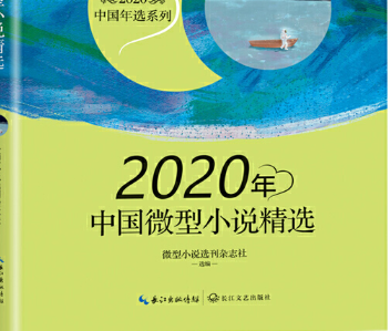 2020年中国微型小说精选pdf-2020年中国微型小说精选电子版完整版-精品