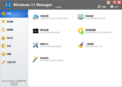 Windows11 Manager��ͼ1