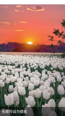 �ɻ���̬��ֽ��̬��ֽ����APP��ͼ4