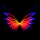 �ɻ���̬��ֽ��̬��ֽ����APP3.3.0 �ֻ����°�