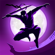 ��Ӱ��ʿ�߼�����Ѱ�(Shadow Knight Era of Legend)3.24.331��׿�޵а�