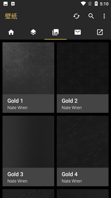 Solid Gold金色纹理图标截图2