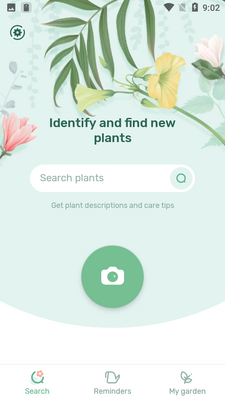 ����ʢ��Blossomֲ��ʶ��������ͼ0